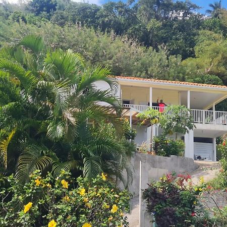 Villa Zephyr Domaine Roses Des Vents Сент-Марі Екстер'єр фото